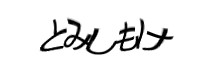 Authentication image